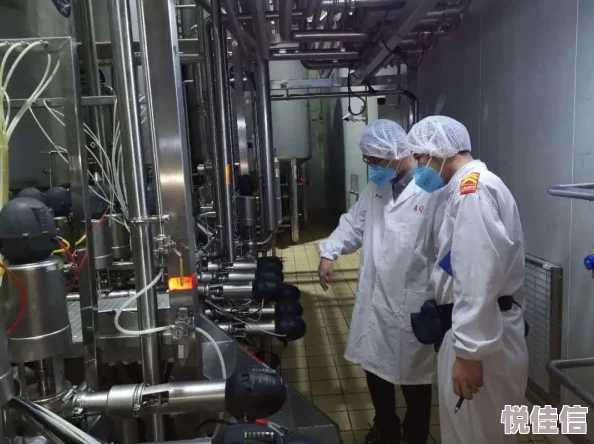 拔萝卜挤酸奶：这是一种结合了传统农耕与现代乳制品制作的趣味活动，展现了乡村生活的独特魅力和创意