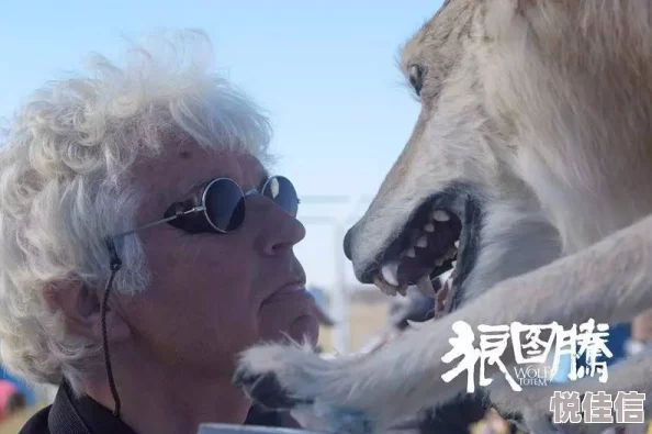 银狼翻白眼流眼泪流口水，令人震惊的谋杀案揭开了动物界的惊险秘密！