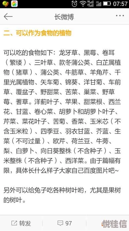 吃你胸前的两只小兔这句歌词出自《甜蜜蜜》，是邓丽君的经典代表作之一