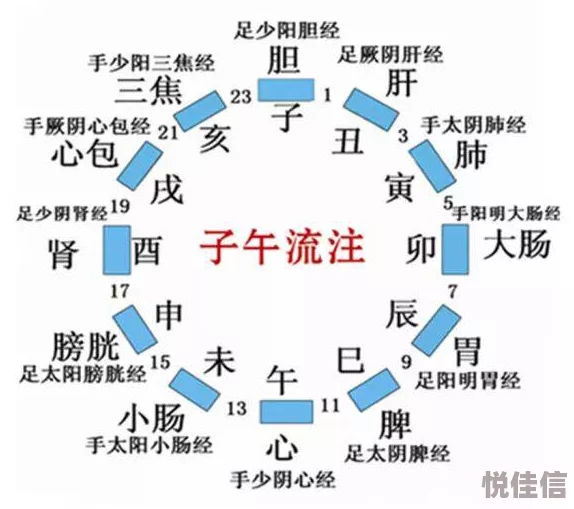 体内精69XXXXXx义指的是人体内部蕴含的生命精华和能量，是健康与活力的源泉