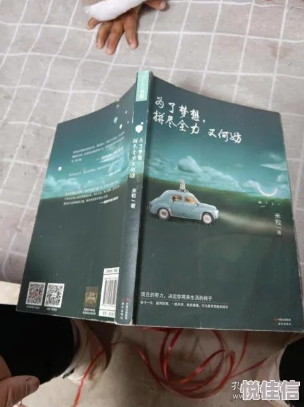 玉慧学车记全线阅读txt花开不见还心中有梦勇敢追寻未来无限可能