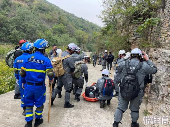 惊喜揭秘：模拟人生4与狗探险，哪款游戏更胜一筹？内含独家评测福利！