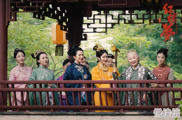 红楼之风华绝黛群斗携手共进勇往直前创造美好未来