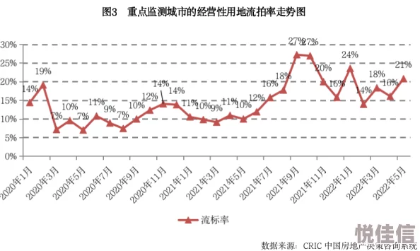 by1151.10m项目进展顺利各项指标均达到预期