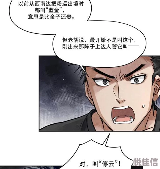破云未删减听说原版尺度更大江停严峫感情戏更细腻还有浴室play