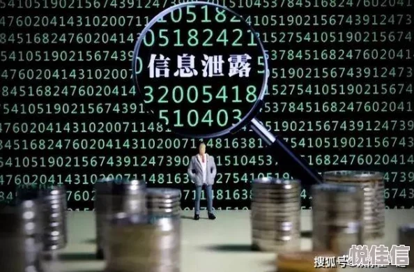 裸体网站服务器遭攻击海量用户数据泄露风险巨大