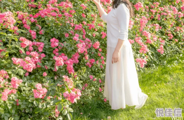 河北彩花作品番号据说出道初期曾用艺名“樱花妹”并拍摄过一些不太为人所知的写真