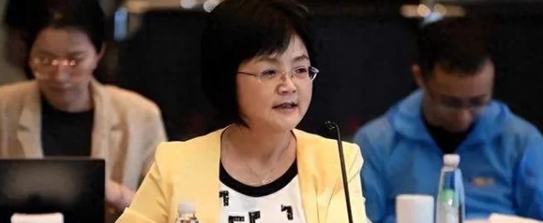 肖致远白倩梅李若青深陷贪腐丑闻仕途黯淡未来堪忧