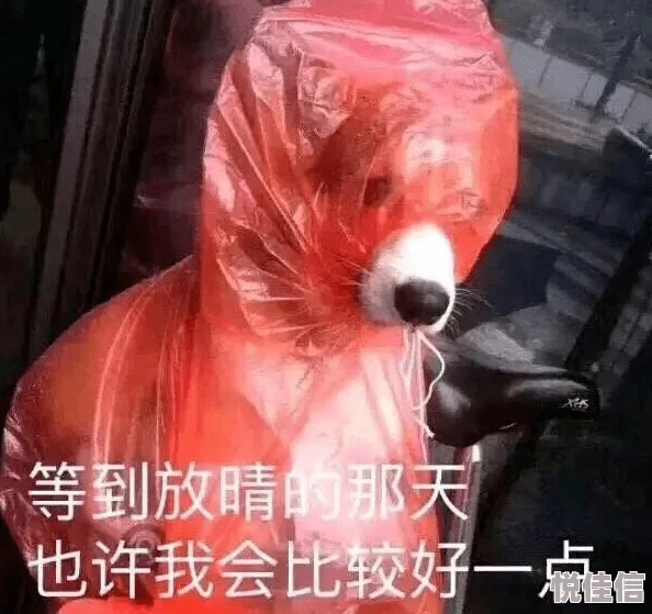 暗区突围安全区模式热成像是否会被搜刮？